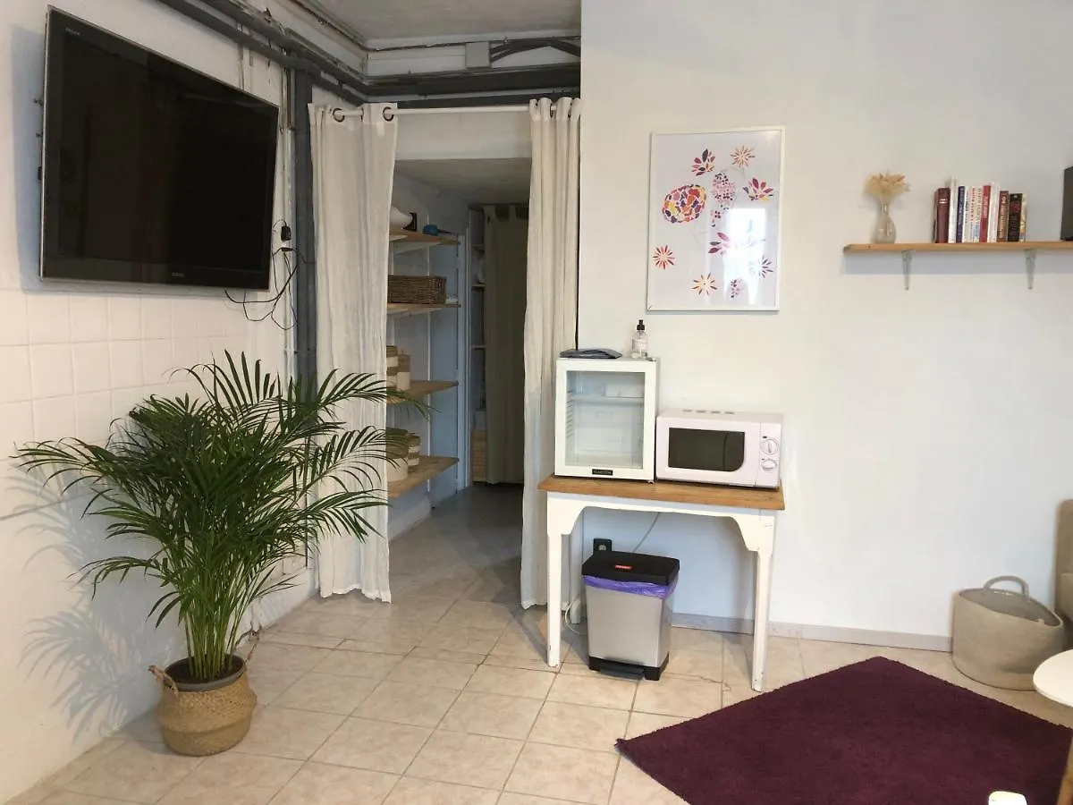 Gite Cosy 25 Min Lyon Vienne St Etienne Longes 0*,  France